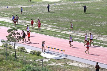 Deportes ayuda con 132.500 euros a los clubes y deportistas eldenses