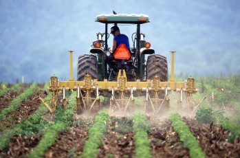 Los derechos de la agricultura (II): Puntualizaciones
